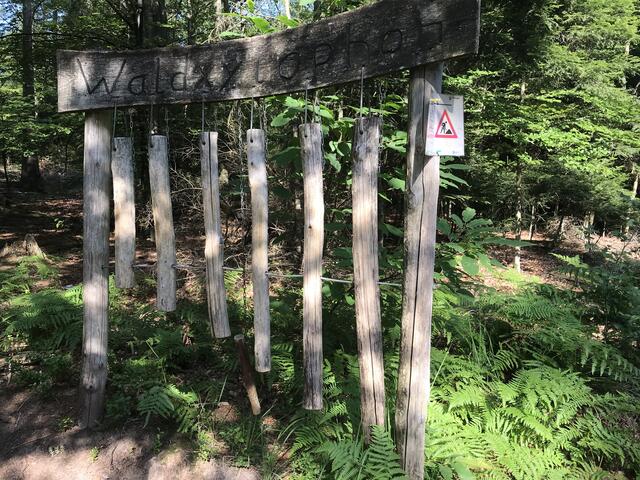 "Waldxylophon" | Foto: B. Bender