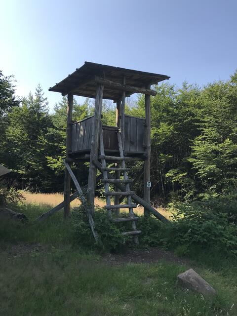 "Weitsicht" | Foto: B. Bender