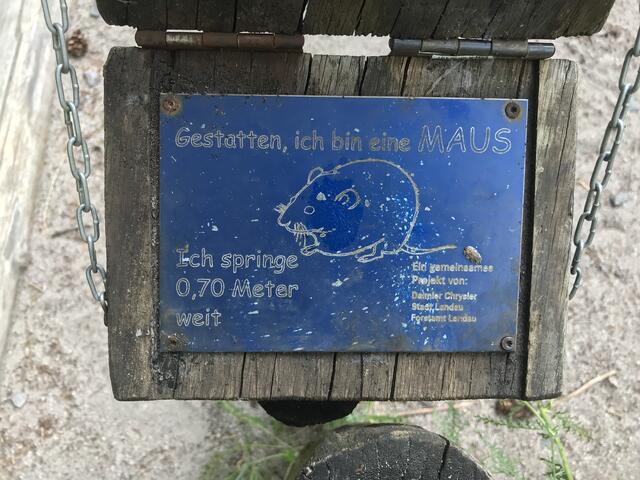 70 Zentimeter weit springt die Maus | Foto: B. Bender