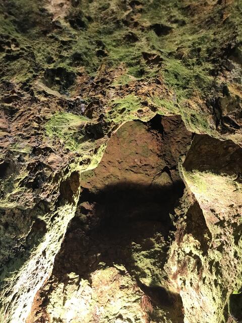 Blick nach oben | Foto: B. Bender