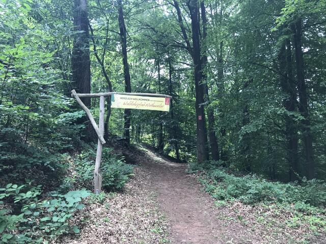 Start zum Waldlehrpfad | Foto: B. Bender