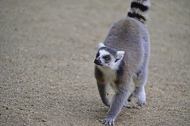 Foto: Ilona Schäfer