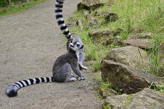 Foto: Ilona Schäfer