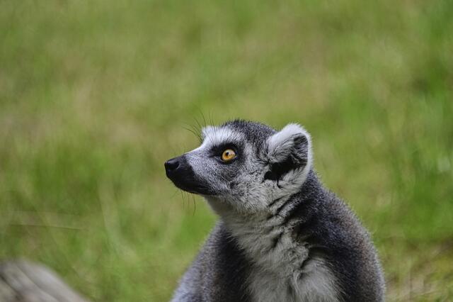 Foto: Ilona Schäfer