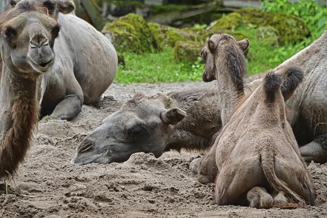 Foto: Ilona Schäfer