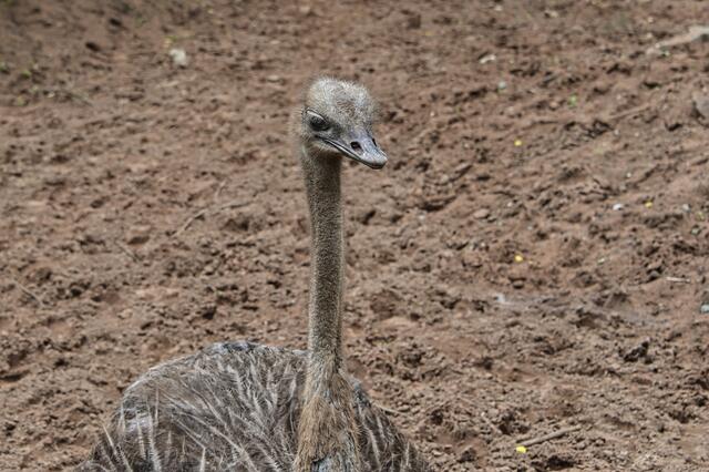 Foto: Ilona Schäfer