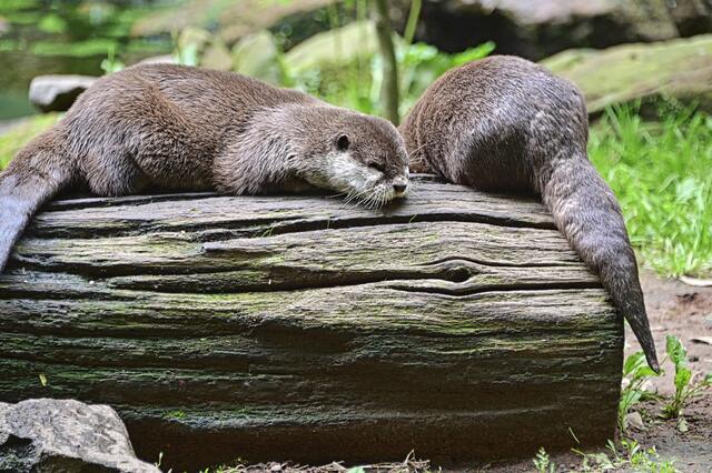 Foto: Ilona Schäfer