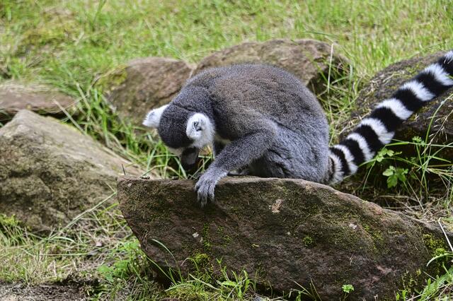 Foto: Ilona Schäfer