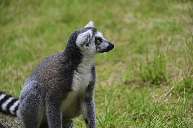 Foto: Ilona Schäfer