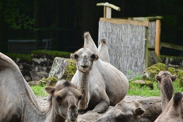 Foto: Ilona Schäfer