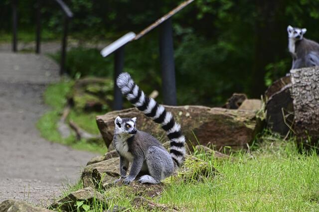 Foto: Ilona Schäfer