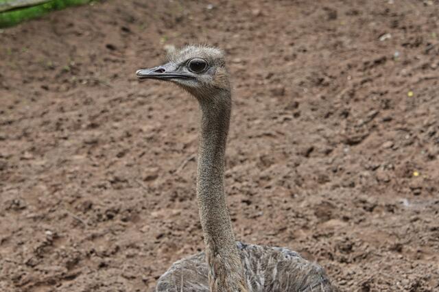 Foto: Ilona Schäfer