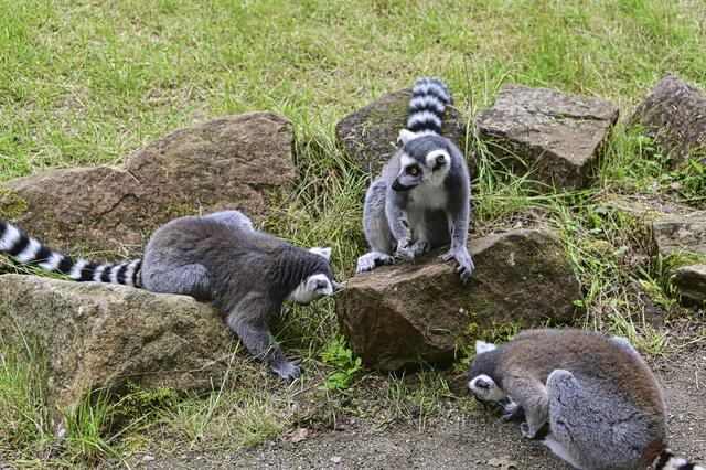 Foto: Ilona Schäfer