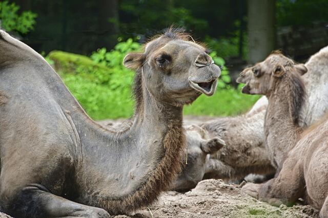 Foto: Ilona Schäfer