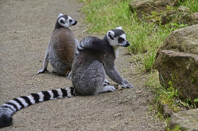 Foto: Ilona Schäfer