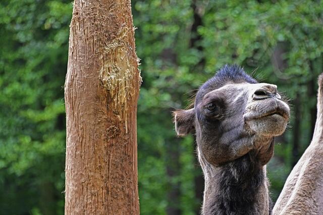 Foto: Ilona Schäfer