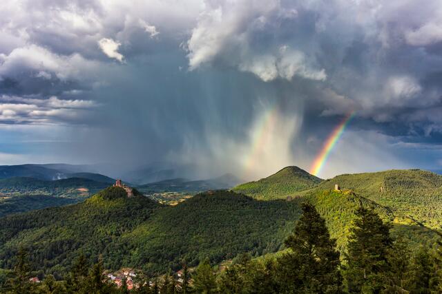 "Doppelregenbogen neben der Burg Trifels":  Diese Aufnahme von Wochenblatt-Reporter Ralph Beetz ist das Augustmotiv des neuen Kalenders.  | Foto: Ralph Beetz