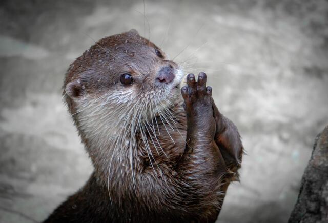 Dieses Foto von „Wochenblatt-Reporter“ Simon Schmidt, aufgenommen in Karlsruhe,  ist das Märzmotiv des neuen Kalenders.  | Foto: Simon Schmidt