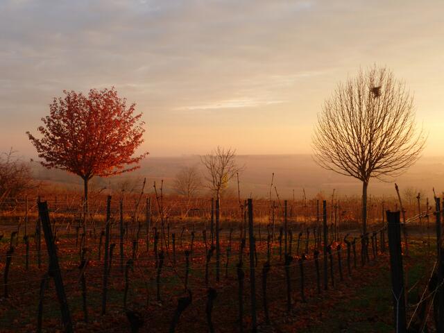 Diese Aufnahme von Wochenblatt-Reporterin Margit Kalsch ist das Novembermotiv des neuen Kalenders.  | Foto: Margit Kalsch