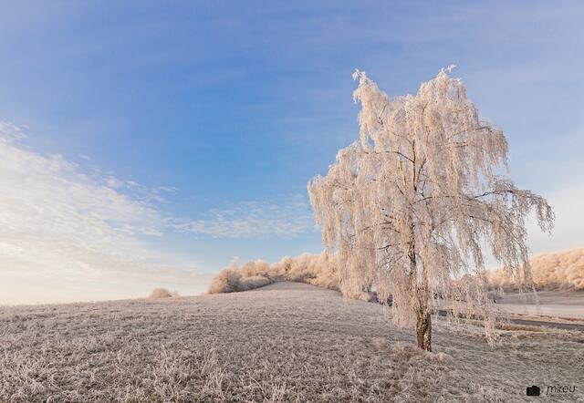 Das Foto mit winterlichen Impressionen in Stauf ist der Sieger für den Januar 2019. | Foto: Michaela Reuß