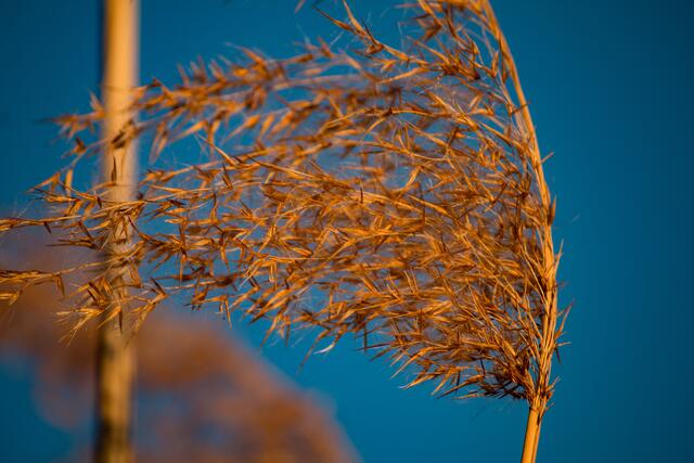 Diese Aufnahme von Wochenblatt-Reporterin Martina Kirsch ist das Augustmotiv des neuen Kalenders.  | Foto: Martina Kirsch
