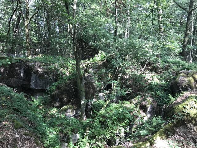 Staunen | Foto: B. Bender