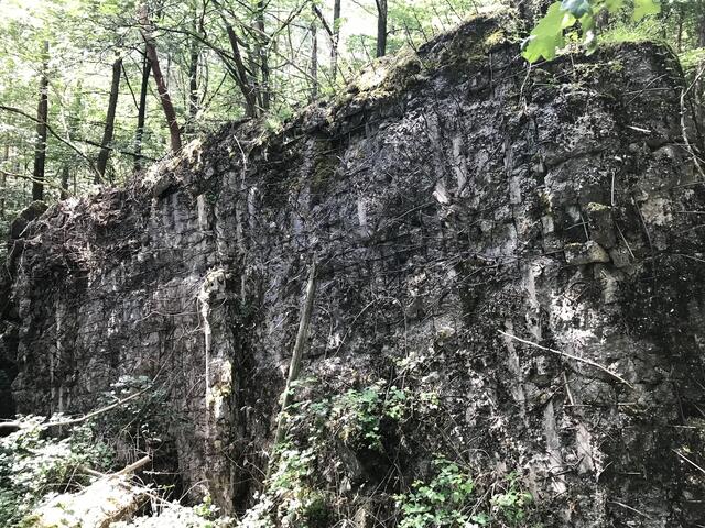 Eine Wand mitten im Wald | Foto: B. Bender