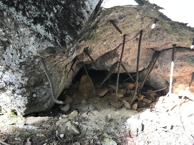 Fast ein Kunstwerk | Foto: B. Bender