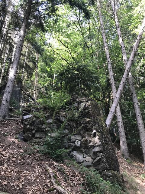 Begrünter Mauer-Rest | Foto: B. Bender