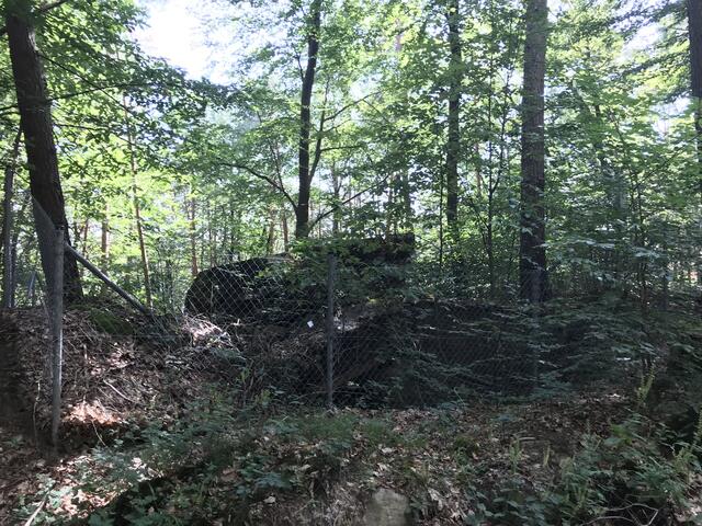 Die Bunkerruinen sind eingezäunt | Foto: B. Bender