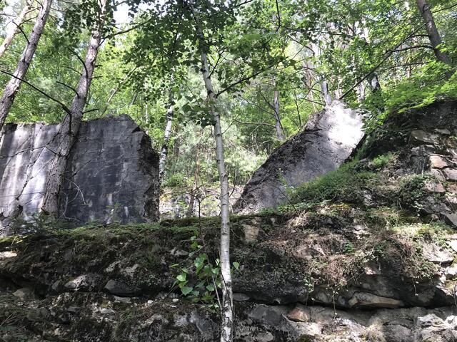 Gewaltige Erscheinung | Foto: B. Bender