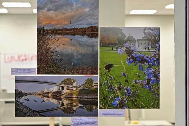 Foto: Ilona Schäfer