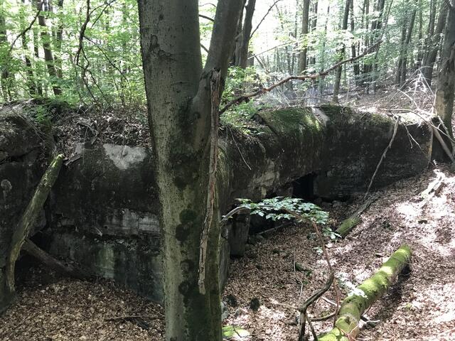 Hier ist der Bunker noch zu erkennen | Foto: B. Bender