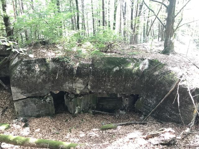 Bedrückende Ansicht | Foto: B. Bender