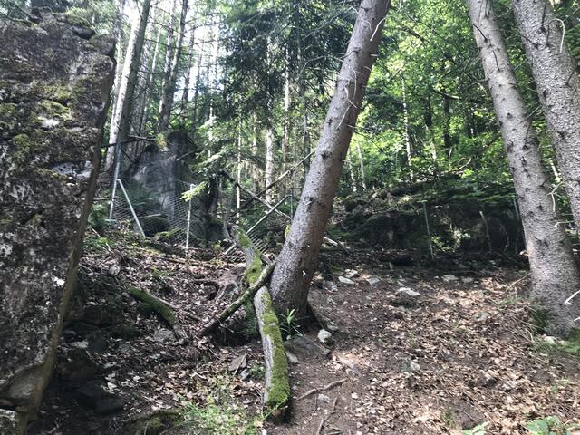 Wieder ragt eine Betonwand aus dem Boden | Foto: B. Bender