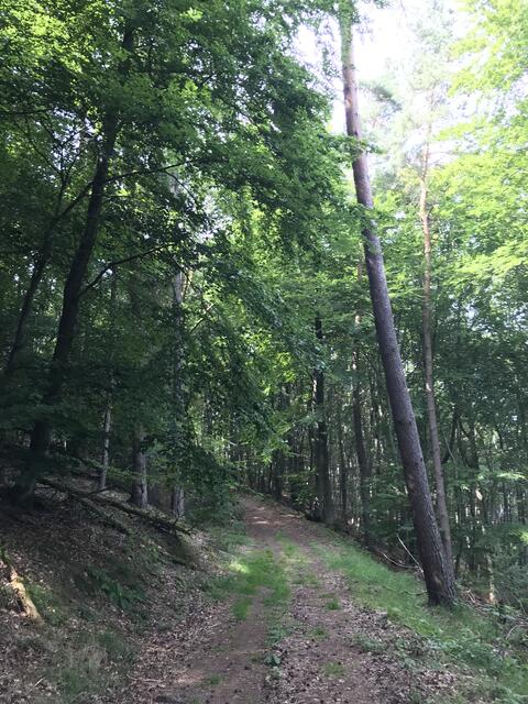 Mehrere Anstiege sind zu "bewältigen" | Foto: B. Bender