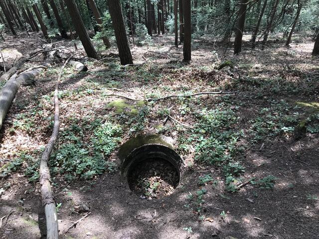 Ein-Mann-Bunker | Foto: B. Bender