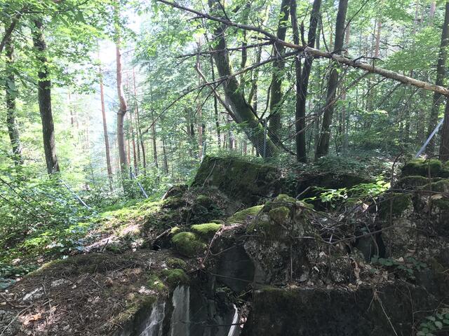 Moosbewachsene Bunkerreste | Foto: B. Bender