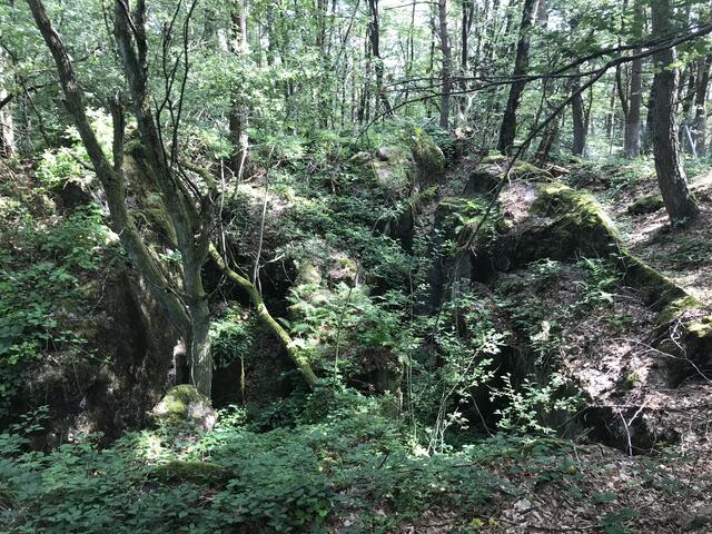 Innehalten | Foto: B. Bender