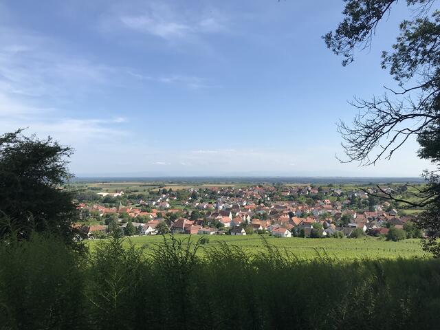 Blick vom Waldrand aus auf Oberotterbach | Foto: B. Bender