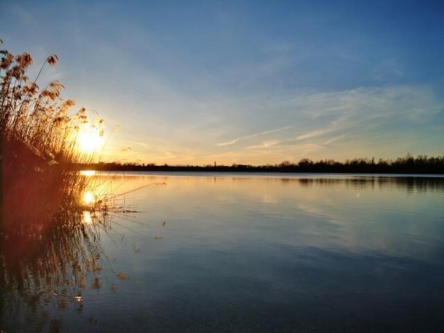 Sonnenuntergang Kistnerweiher. Aufgenommen Winter 2021