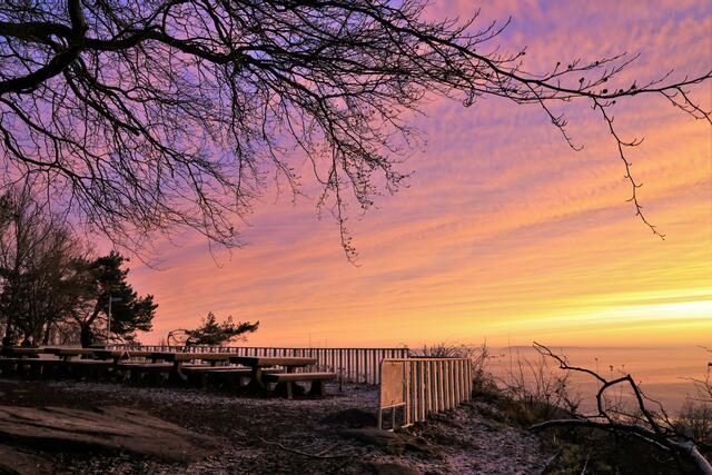 Sonnaufgang auf der Kalmit im Dezember 2020 - Bei eisigen Temperaturen auf die wärmende Sonne gewartet.  | Foto: Urheber: Maike Müller  