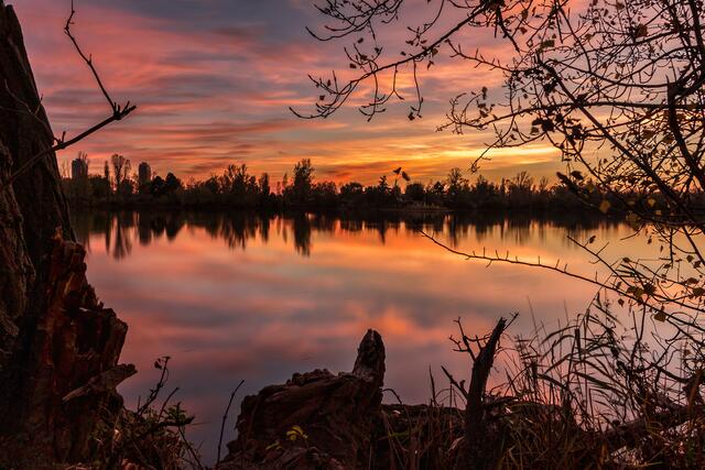 Begütenweiher in Ludwigshafen