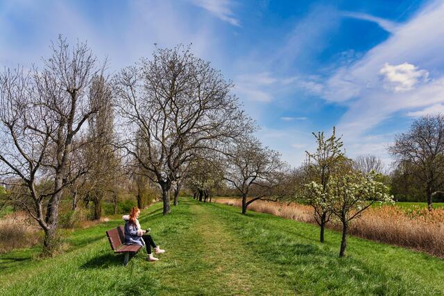 Frankenthaler Kanal in Ludwigshafen