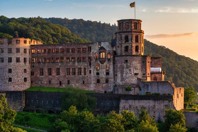 Heidelberger Schloss im Sommer