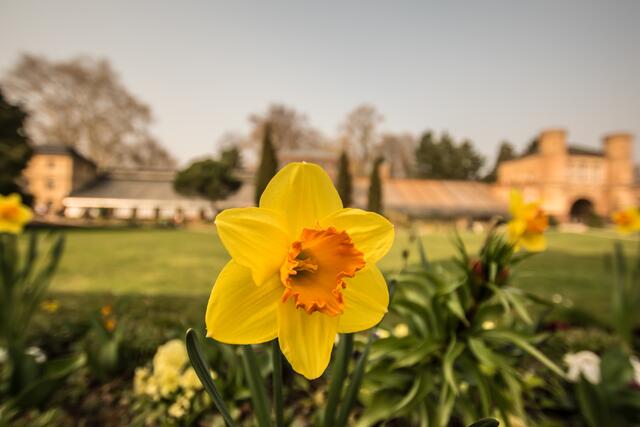 24.03 im Botanischen Garten beim Schloss in Karlsruhe | Foto: https://www.instagram.com/el_santo_conejo/