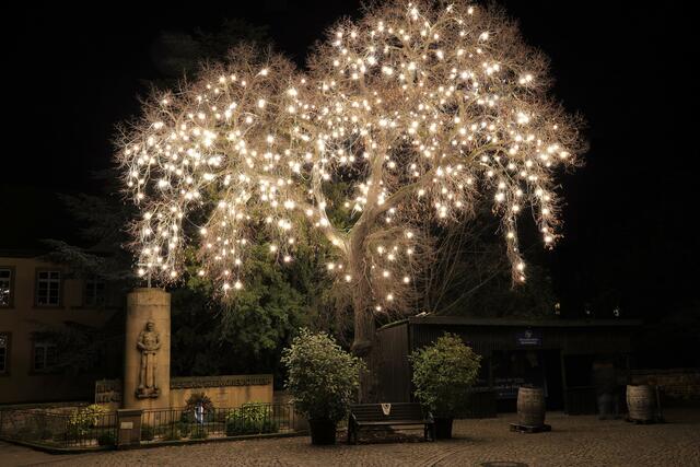 Deidesheim im Lockdown - wo sonst der Weihnachtsmarkt seinen Flair versprüht, blieb dieses Jahr nur Lichterglanz.  | Foto: Urheber: Maike Müller  