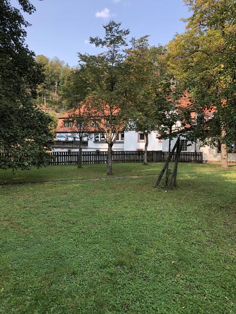 Ebenfalls an der Klug‘schen Mühle👍