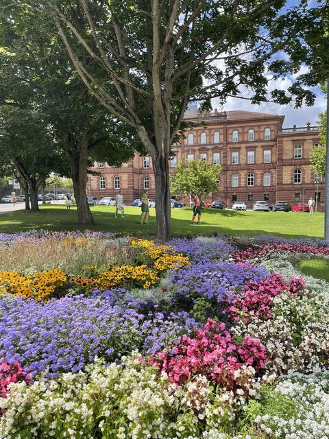 Kennen wir gut☺️