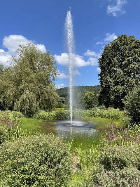 Kurpark in Bad-Herrenalb